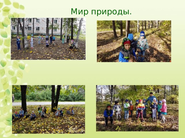 Мир природы. 