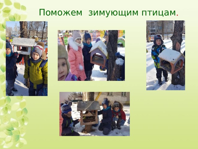Поможем зимующим птицам . 