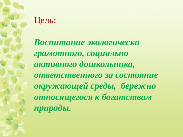 Цель: Воспитание экологически грамотного, социально активного дошкольника, ответственного за состояние окружающей среды, бережно относящегося к богатствам природы. 