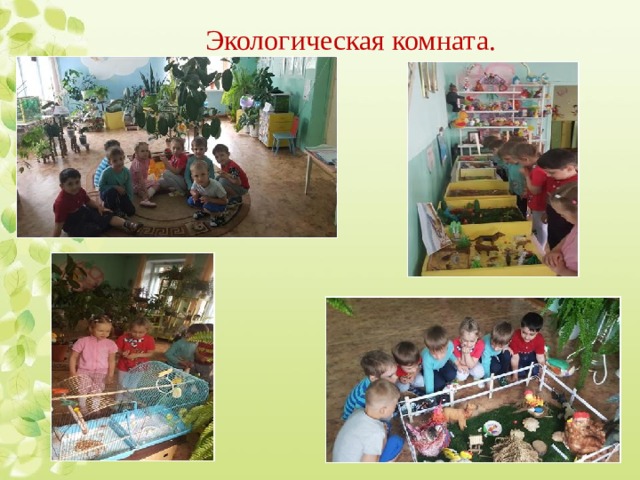 Экологическая комната. 