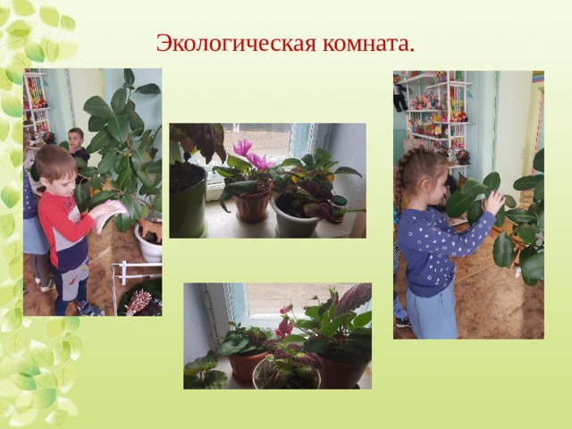 Экологическая комната. 