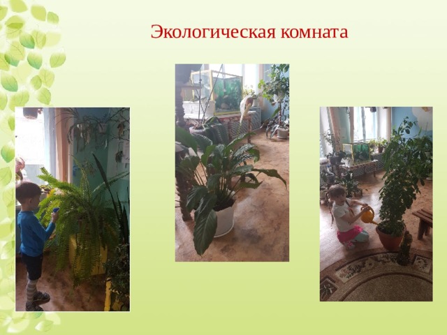 Экологическая комната 