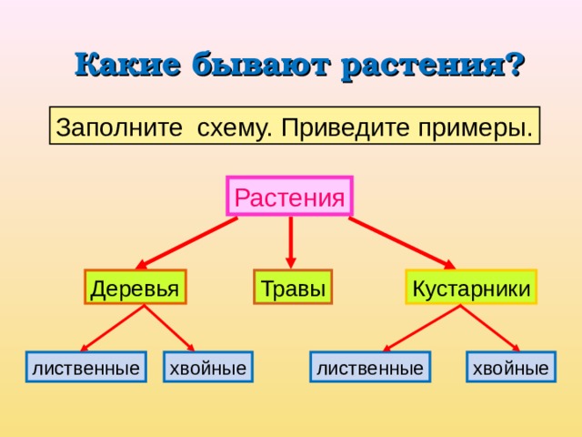 Какие бывают растения? Заполните схему. Приведите примеры. Растения Деревья Кустарники Травы хвойные лиственные лиственные хвойные 