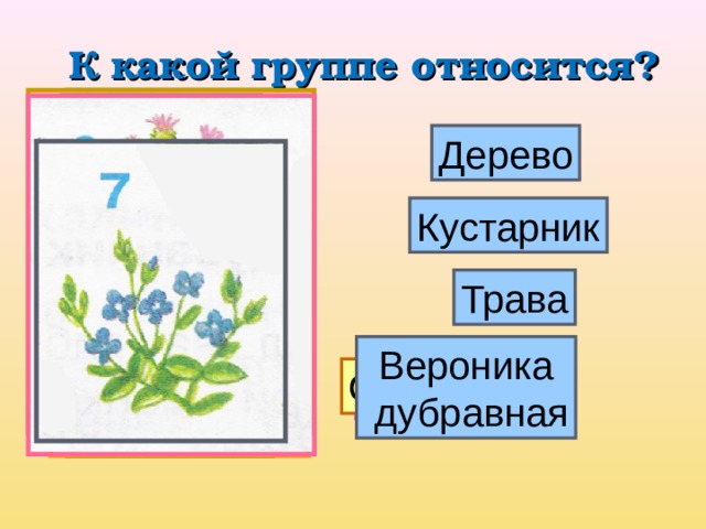 Какие бывают растения 2 класс технологическая карта