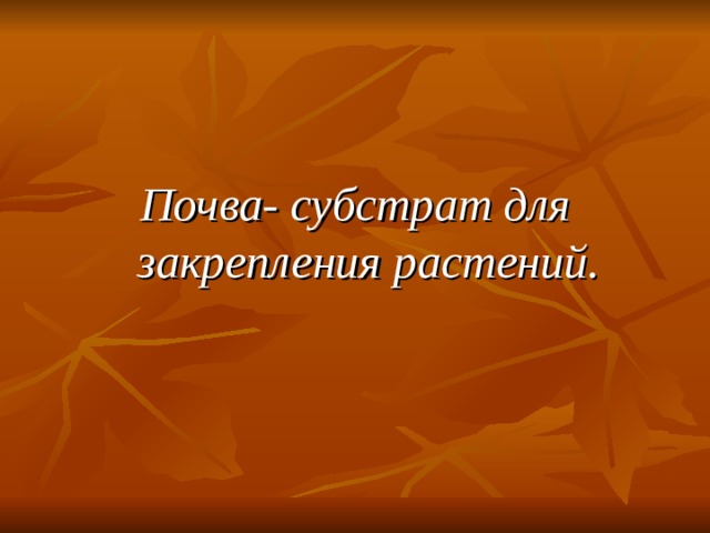 Для чего растениям нужна почва проект