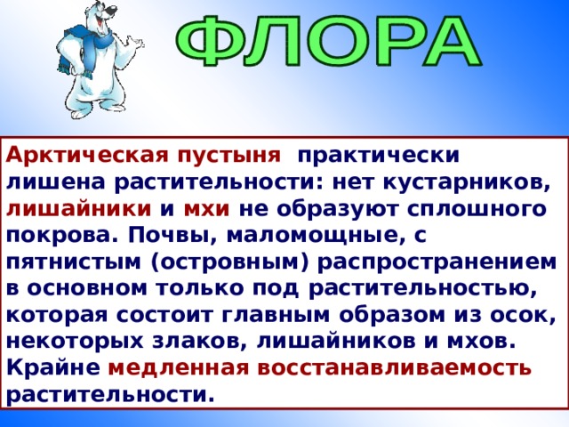 Арктическая пустыня практически лишена растительности: нет кустарников, лишайники и мхи не образуют сплошного покрова. Почвы, маломощные, с пятнистым (островным) распространением в основном только под растительностью, которая состоит главным образом из осок, некоторых злаков, лишайников и мхов. Крайне медленная восстанавливаемость растительности. 