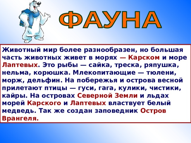 Животный мир более разнообразен, но большая часть животных живет в морях  — Карском и море Лаптевых . Это рыбы — сайка, треска, ряпушка, нельма, корюшка. Млекопитающие — тюлени, морж, дельфин. На побережья и острова весной прилетают птицы — гуси, гага, кулики, чистики, кайры. На островах Северной Земли и льдах морей Карского и Лаптевых властвует белый медведь. Так же создан заповедник Остров Врангеля. 