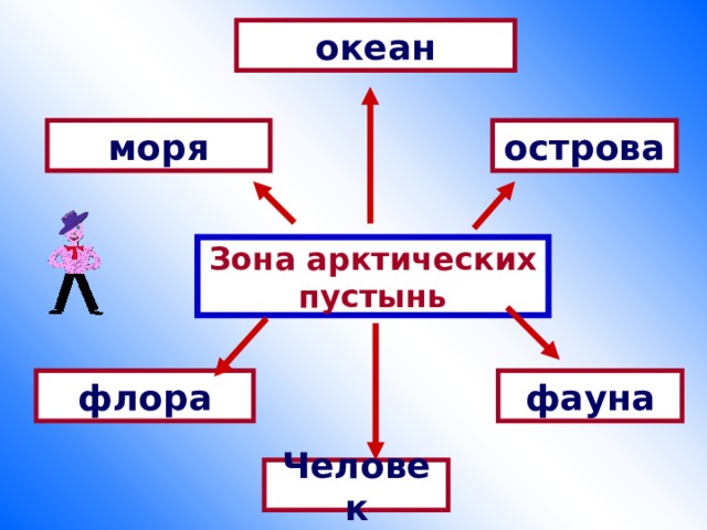 океан моря острова Зона арктических пустынь флора фауна Человек 