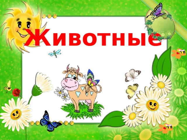 Животные 