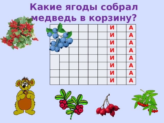 Какие ягоды собрал медведь в корзину? И И А И И А И А А И А И А И А А 