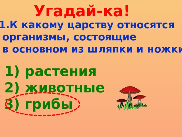 Угадай-ка! 1.К какому царству относятся  организмы, состоящие  в основном из шляпки и ножки? 1) растения 2) животные 3) грибы 