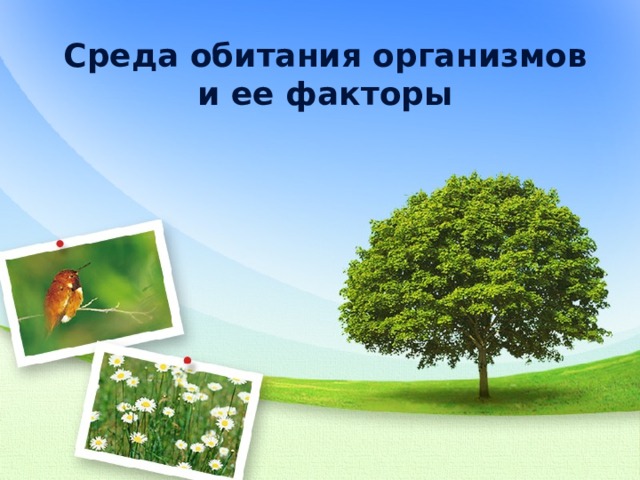 Среда обитания организмов и ее факторы 