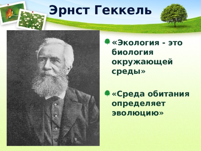 Эрнст Геккель « Экология - это биология окружающей среды»  «Среда обитания определяет эволюцию» 