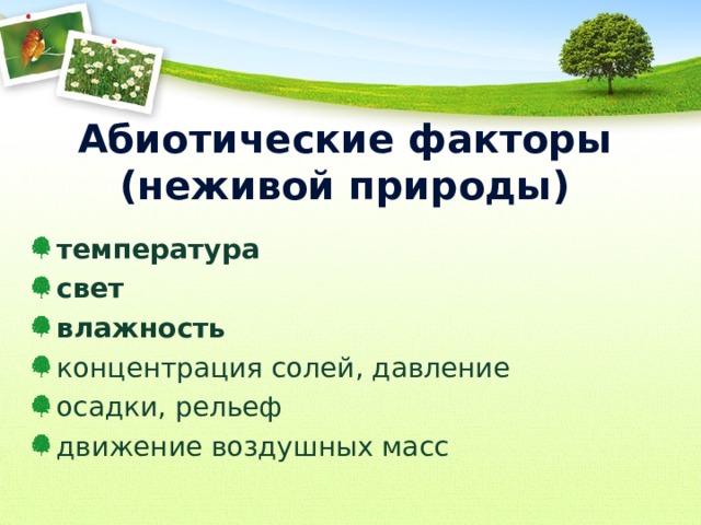 Абиотические факторы (неживой природы) температура свет влажность концентрация солей, давление осадки, рельеф движение воздушных масс 