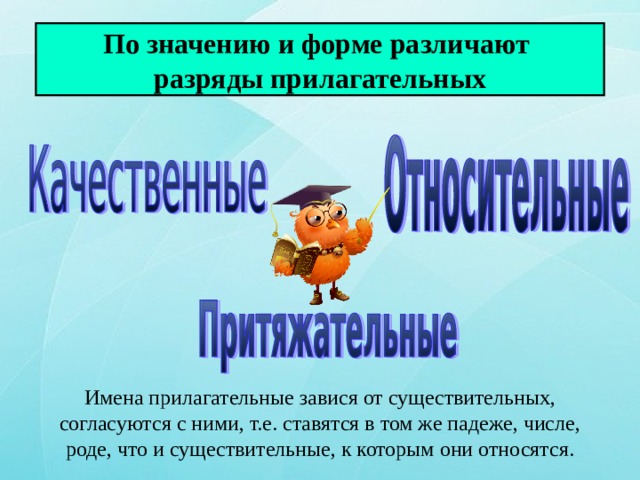 По значению и форме различают  разряды прилагательных Имена прилагательные завися от существительных, согласуются с ними, т.е. ставятся в том же падеже, числе, роде, что и существительные, к которым они относятся. 