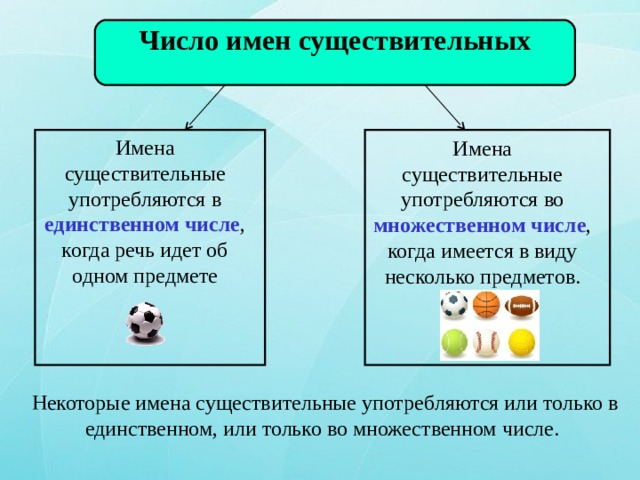 Число имен существительных  Имена существительные употребляются в единственном числе , когда речь идет об одном предмете Имена существительные употребляются во множественном числе , когда имеется в виду несколько предметов. Некоторые имена существительные употребляются или только в единственном, или только во множественном числе. 