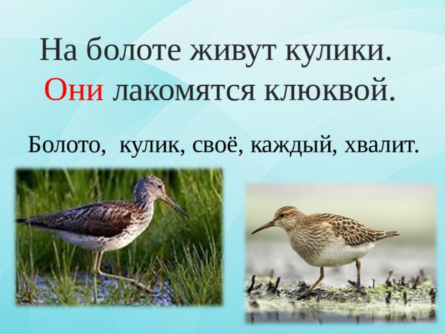 Каждая хвалит свое болото. Всяк Кулик свое болото хвалит. Кулик свое болото хвалит. Каждый хвалит свое болото. Каждый Кулик свое болото.