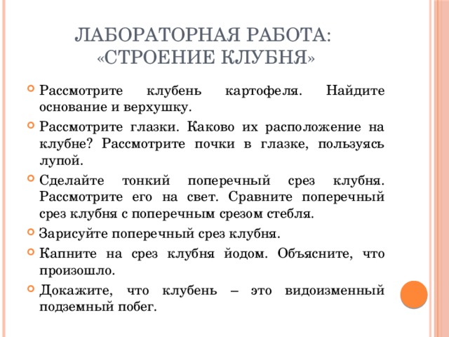 Лабораторная по биологии 6 класс строение клубня