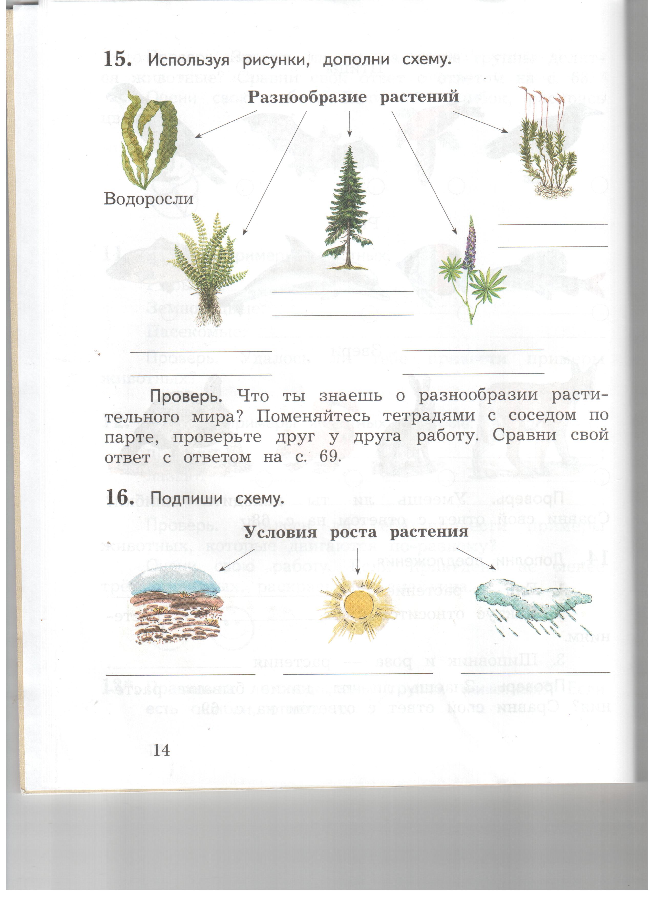 Верно ли подписаны фотографии