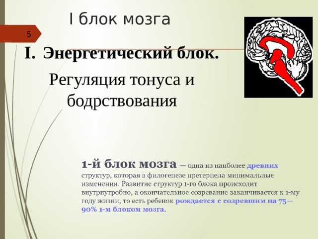 I блок мозга  Энергетический блок. Регуляция тонуса и бодрствования Кратко об анатомии (ствол, большие полушария «одеты шапочкой») Построить все блоки по схеме «задача - функция – структуры» Из Лурии взять про 3 источника активации ЦНС, чтобы (?) показать, как получает стимуляцию 1-й блок  