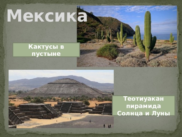 Мексика Кактусы в пустыне Теотиуакан пирамида Солнца и Луны 