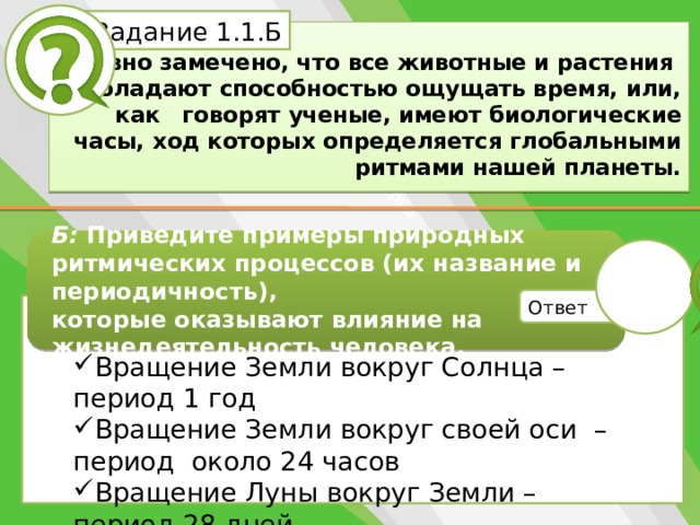 Белик Дарья Задание 1.1.Б   Давно замечено, что все животные и растения  обладают способностью ощущать время, или, как  говорят ученые, имеют биологические часы, ход которых определяется глобальными ритмами нашей планеты. Б: Приведите примеры природных ритмических процессов (их название и периодичность), которые оказывают влияние на жизнедеятельность человека. Ответ Вращение Земли вокруг Солнца – период 1 год Вращение Земли вокруг своей оси – период около 24 часов Вращение Луны вокруг Земли – период 28 дней 