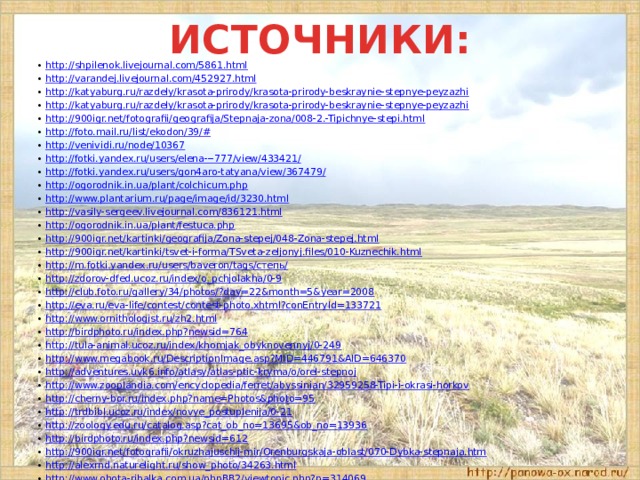 Каковы особенности природы. Загадки на тему зона степей. Вопросы по теме зона степей. Зона степей план. Правила передвижения в зоне степей.