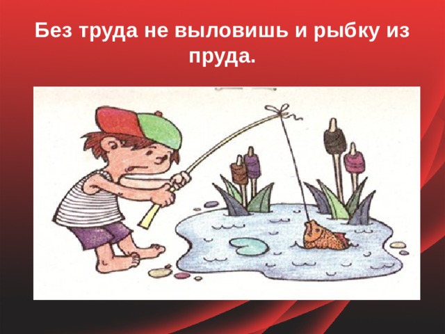 Без труда не вытащишь и рыбку из пруда рисунок к пословице