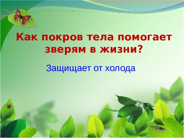 Как покров тела помогает  зверям в жизни? Защищает от холода 