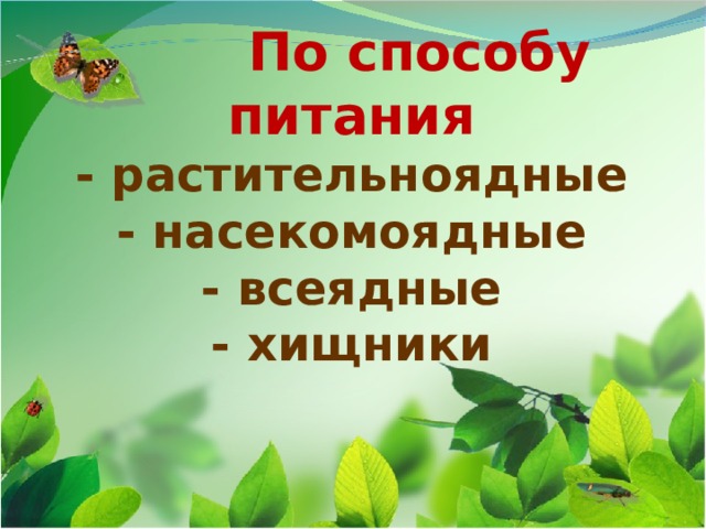  По способу питания  - растительноядные  - насекомоядные  - всеядные  - хищники   