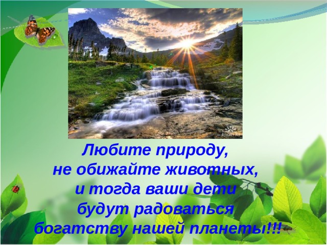Любите природу, не обижайте животных, и тогда ваши дети будут радоваться богатству нашей планеты!!! 