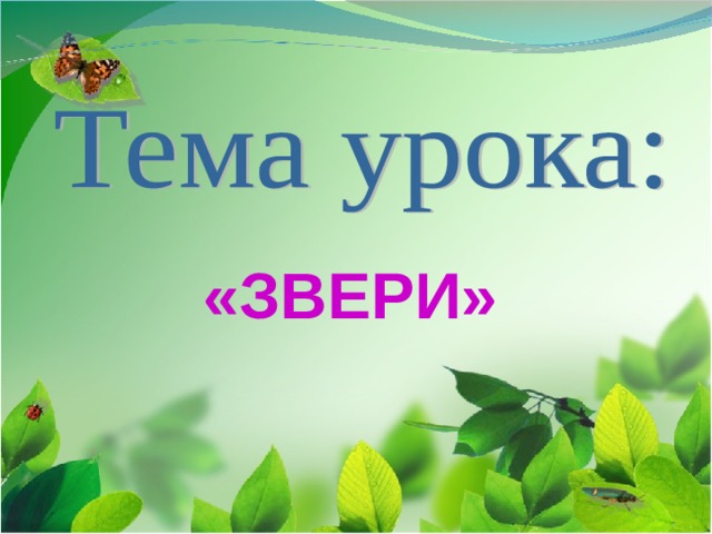 «ЗВЕРИ» 