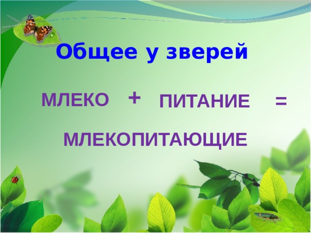 Общее у зверей + МЛЕКО ПИТАНИЕ = МЛЕКОПИТАЮЩИЕ 