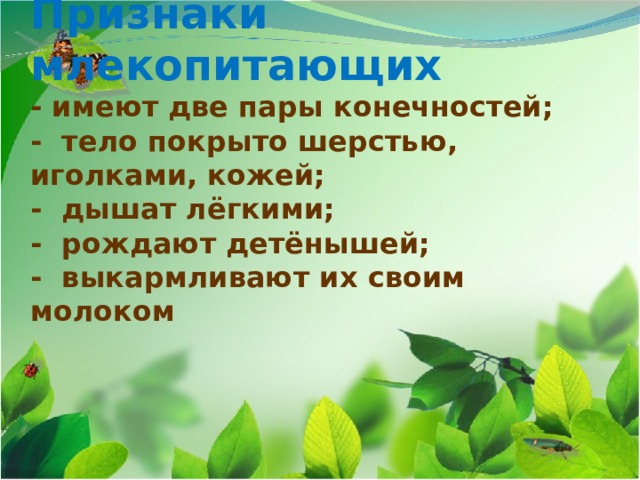 Признаки млекопитающих  - имеют две пары конечностей;  - тело покрыто шерстью, иголками, кожей;  - дышат лёгкими;  - рождают детёнышей;  - выкармливают их своим молоком 