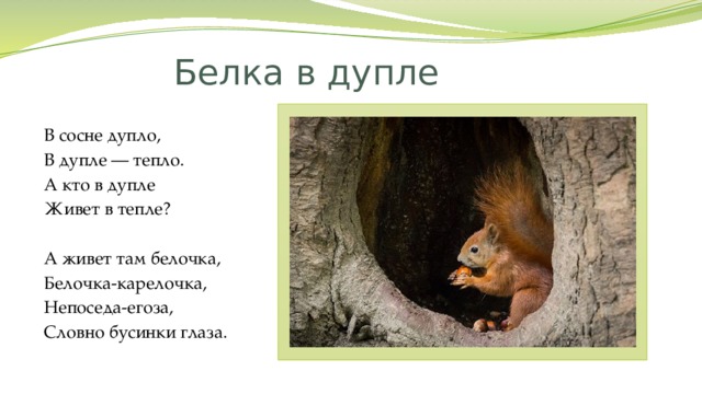 Изменить словосочетания по образцу дупло белки