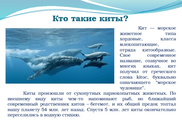 Проект мир китов 2 класс
