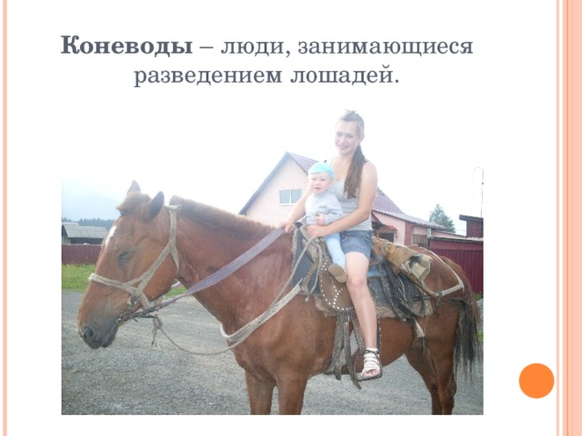 Коневоды – люди, занимающиеся разведением лошадей. 