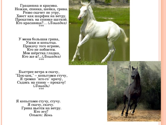 Грациозна и красива.  Ножки, спинка, шейка, грива.  Резво скачет по утру,  Хвост как шарфик на ветру.  Прокатись на спинке шаткой.  Кто красавица?… (Лошадка)  ***    У меня большая грива,  Ушки и копытца.  Прокачу того игриво,  Кто не побоится.  Моя шёрстка гладка,  Кто же я ?...(Лошадка)  ***    Быстрее ветра я скачу,  ''Цок-цок,'' – копытами стучу,  Я громко ''иго-го'' кричу,  Садись на спину – прокачу!  (Лошадь)  ***    Я копытами стучу, стучу.   Я скачу, скачу.   Грива вьется на ветру.  Кто это?   Ответ: Конь     
