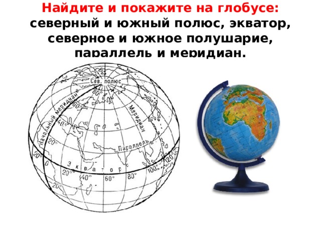Параллель карта меридиан экватор полюс какое слово лишнее