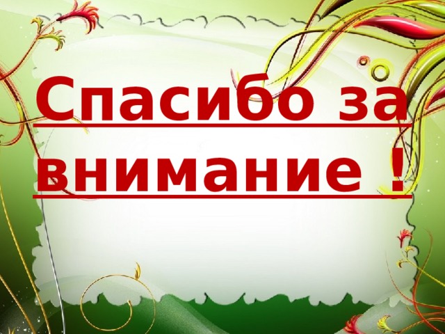 Спасибо за внимание ! 