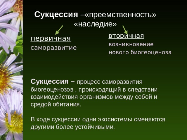 Разнообразие экосистем презентация 11 класс