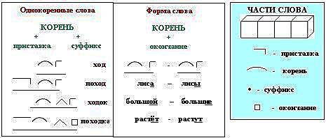 Как на схеме обозначается вводное слово