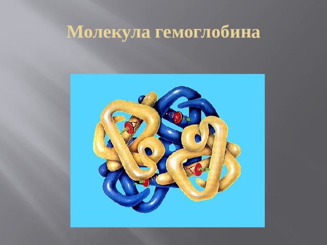 Молекула гемоглобина 