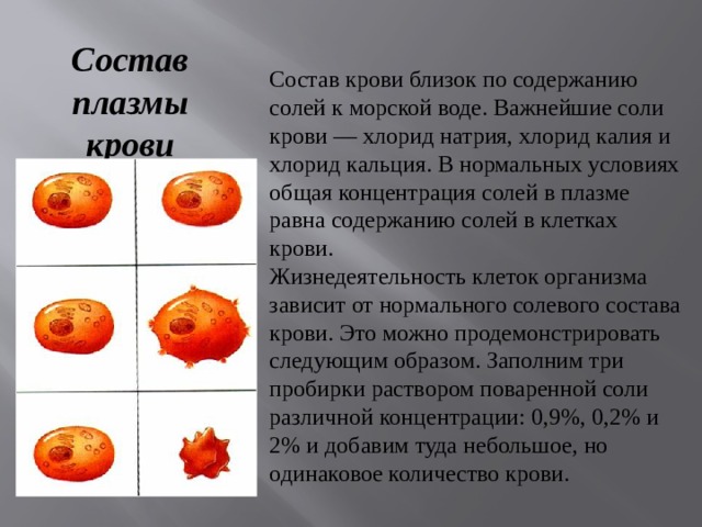 Состав плазмы крови Состав крови близок по содержанию солей к морской воде. Важнейшие соли крови — хлорид натрия, хлорид калия и хлорид кальция. В нормальных условиях общая концентрация солей в плазме равна содержанию солей в клетках крови. Жизнедеятельность клеток организма зависит от нормального солевого состава крови. Это можно продемонстрировать следующим образом. Заполним три пробирки раствором поваренной соли различной концентрации: 0,9%, 0,2% и 2% и добавим туда небольшое, но одинаковое количество крови. 