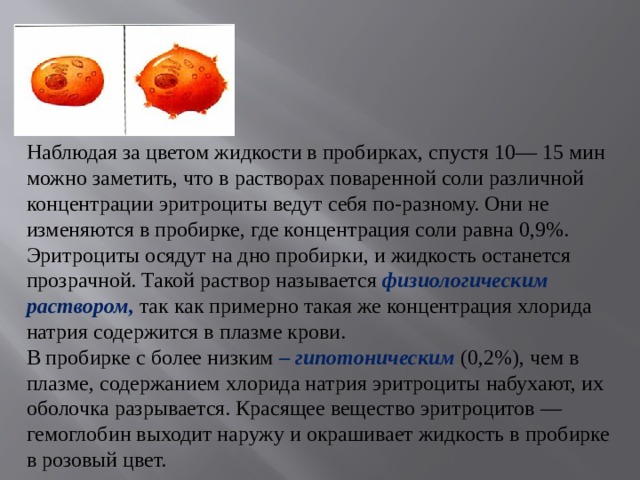 Наблюдая за цветом жидкости в пробирках, спустя 10— 15 мин можно заметить, что в растворах поваренной соли различной концентрации эритроциты ведут себя по-разному. Они не изменяются в пробирке, где концентрация соли равна 0,9%. Эритроциты осядут на дно пробирки, и жидкость останется прозрачной. Такой раствор называется физиологическим раствором,  так как примерно такая же концентрация хлорида натрия содержится в плазме крови. В пробирке с более низким – гипотоническим  (0,2%), чем в плазме, содержанием хлорида натрия эритроциты набухают, их оболочка разрывается. Красящее вещество эритроцитов — гемоглобин выходит наружу и окрашивает жидкость в пробирке в розовый цвет. 