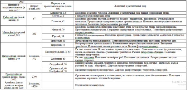 Раковина спирально закрученная критерий вида