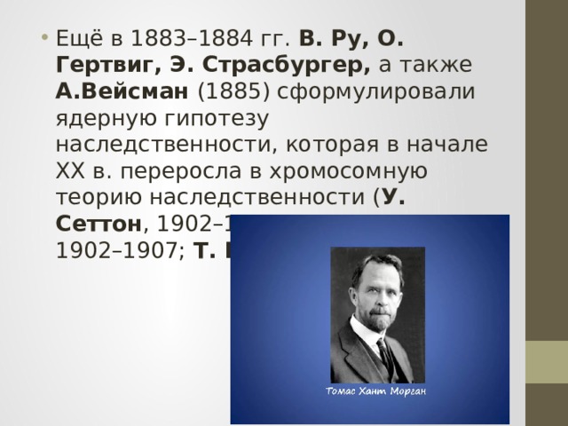 Ещё в 1883–1884 гг. В. Ру, О. Гертвиг, Э. Страсбургер, а также А.Вейсман (1885) сформулировали ядерную гипотезу наследственности, которая в начале XX в. переросла в хромосомную теорию наследственности ( У. Сеттон , 1902–1903; Т.  Бовери, 1902–1907; Т. Морган и его школа). 