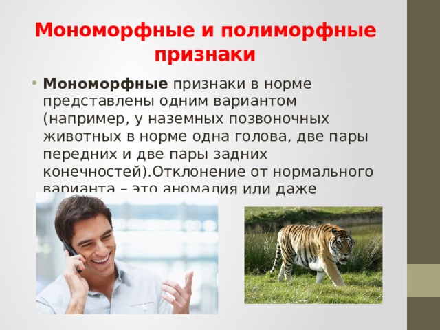 Мономорфные и полиморфные признаки Мономорфные признаки в норме представлены одним вариантом (например, у наземных позвоночных животных в норме одна голова, две пары передних и две пары задних конечностей).Отклонение от нормального варианта – это аномалия или даже уродство. 