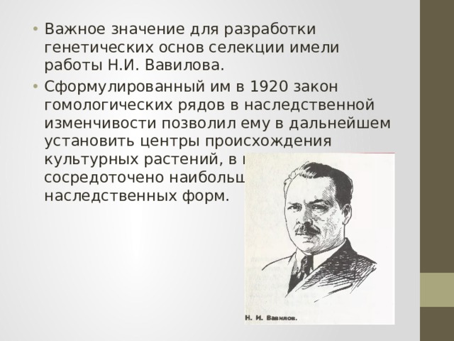 Важное значение для разработки генетических основ селекции имели работы Н.И. Вавилова. Сформулированный им в 1920 закон гомологических рядов в наследственной изменчивости позволил ему в дальнейшем установить центры происхождения культурных растений, в которых сосредоточено наибольшее разнообразие наследственных форм. 