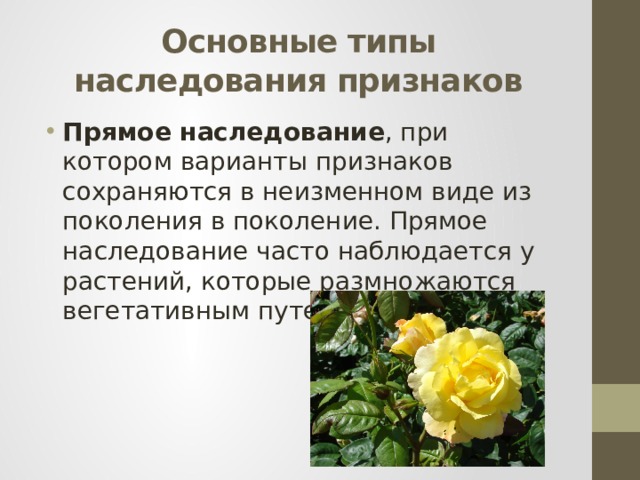 Основные типы наследования признаков Прямое наследование , при котором варианты признаков сохраняются в неизменном виде из поколения в поколение. Прямое наследование часто наблюдается у растений, которые размножаются вегетативным путем 